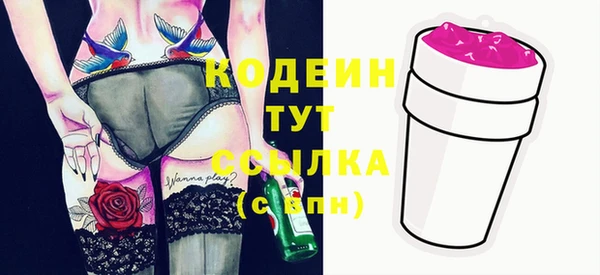 крисы Лагань