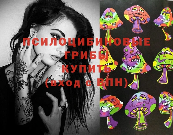 Альфа ПВП Алзамай