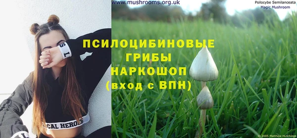 амфетамин Алексин